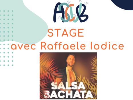 STAGE SALSA BACHATA Samedi 14 décembre 2024 de 15h à 17h